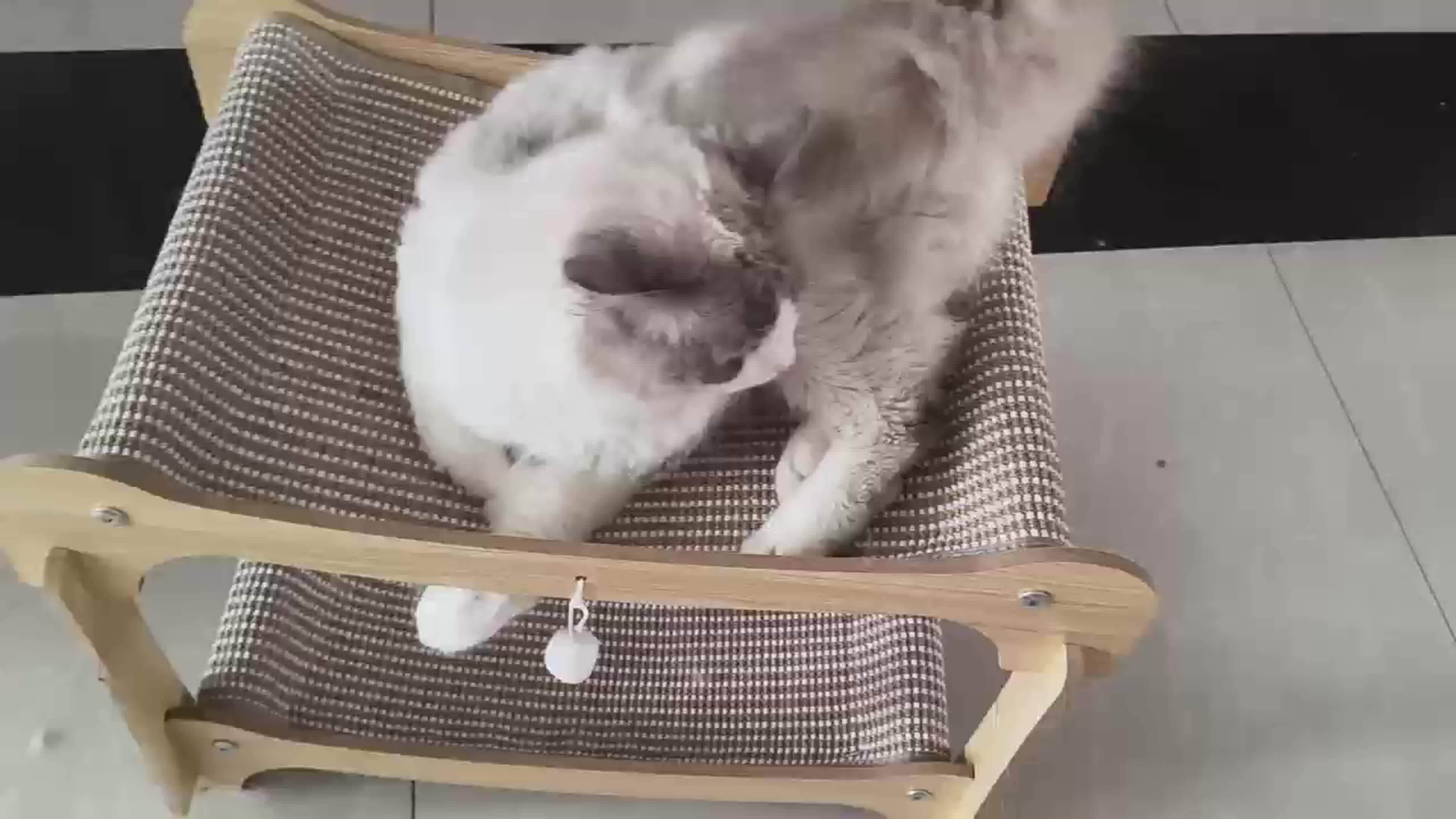 Double-Layer Cat Bed & Scratching Lounge - SnaggIt