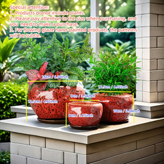 3pcs Decorative Flower Pots with Trays by Snagg A Pot