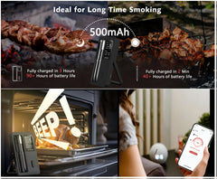 Wireless 2 Probe Meat Thermometer by Snagg A Thermometer