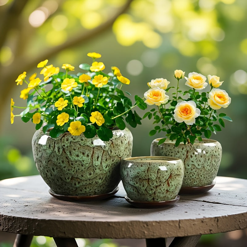 3pcs Decorative Flower Pots with Trays by Snagg A Pot