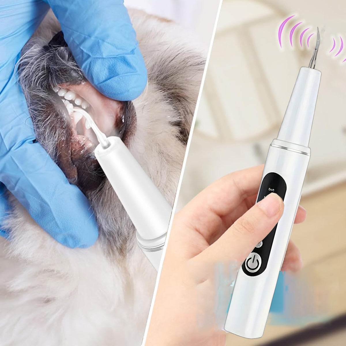 1pc Pet Oral Care Electric Tooth Cleaner - SnaggIt