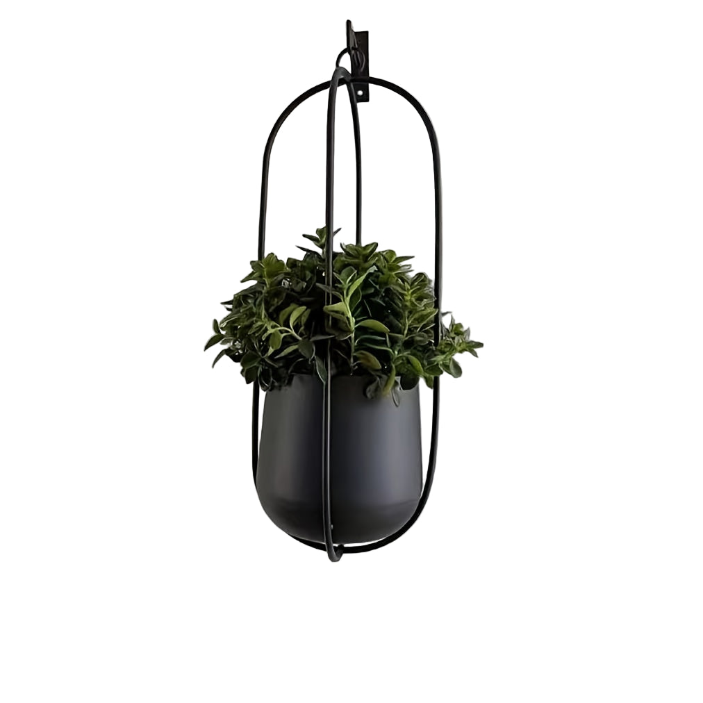 Classic Iron Wall Hanging Planter by Snagg A Wall Planter