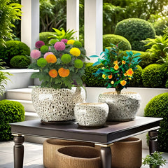 3pcs Decorative Flower Pots with Trays by Snagg A Pot