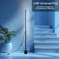 2 Pcs Adjustable Ambient Lighting Floor Light USB Powered by Snagg A Floor Lamp