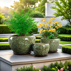 3pcs Decorative Flower Pots with Trays by Snagg A Pot