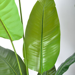 Artificial Bird of Paradise Plant by Snagg A Plant