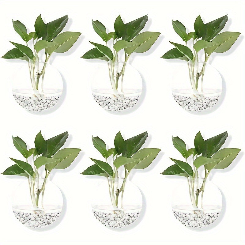 6pcs Glass Hanging Flower Vases – 4.7" by Snagg A Wall Planter