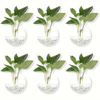 6pcs Glass Hanging Flower Vases – 4.7" by Snagg A Wall Planter