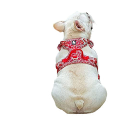 Tactical Dog Collar & Leash Set by Snagg A Harness