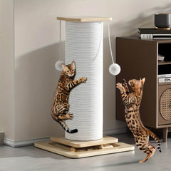 Cat Scratching Post With Sisal Rope with Hanging Play Ball - SnaggIt