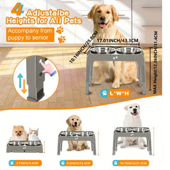 Elevated Dog Bowl Stand with 2 Stainless Steel Bowls by Snagg A Feeder