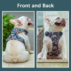 Tactical Dog Collar & Leash Set by Snagg A Harness