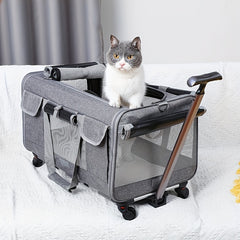 Extra Large Rolling Travel Pet Trolley by Snagg A Pet Trolley