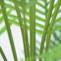 Artificial Palm Tree by Snagg A Plant