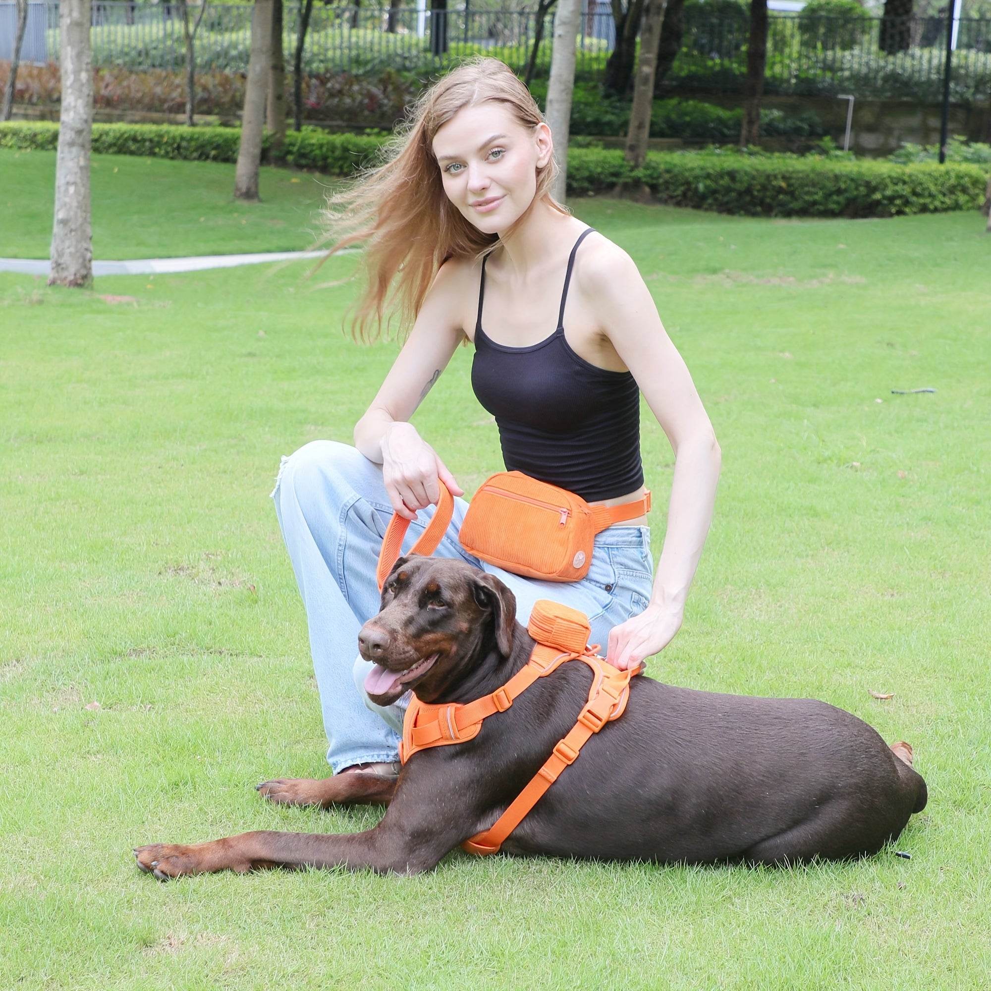 Corduroy Dog Walking Set - SnaggIt