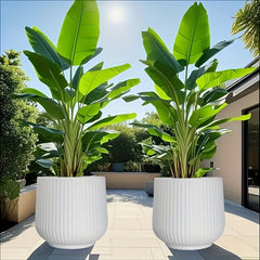 2pcs Resin Flower Pots with Drainage by Snagg A Pot