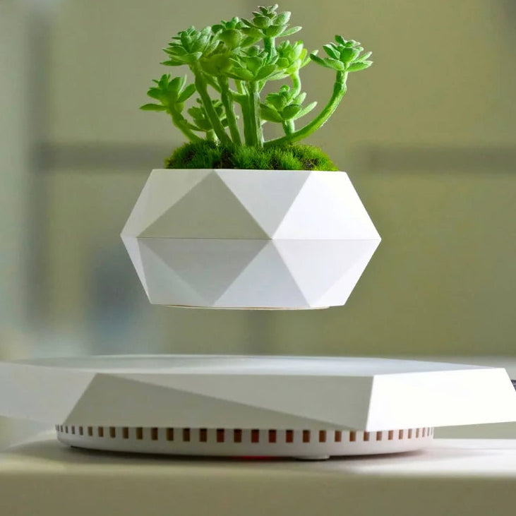 Magnetic Levitating Plant Pot by Snagg A Plant