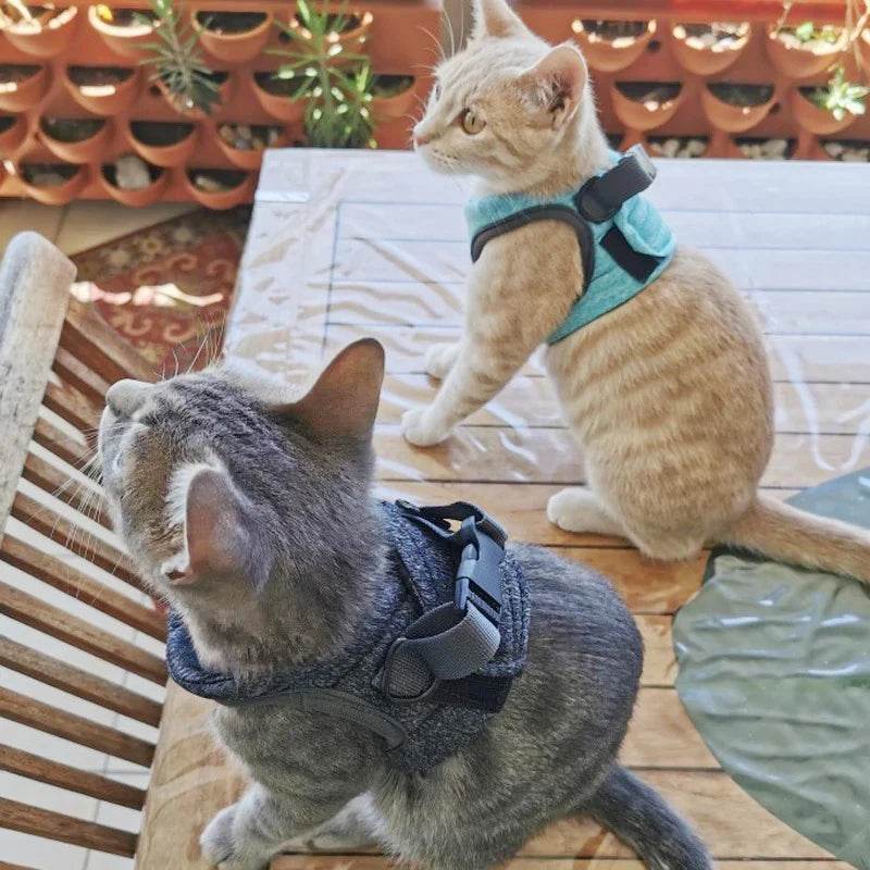 Adjustable Anti-Escape Cat Harness & Leash Set - SnaggIt