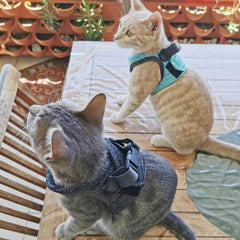 Adjustable Anti-Escape Cat Harness & Leash Set - SnaggIt