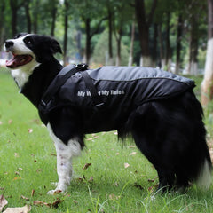 Waterproof Winter Dog Coat by Snagg A Coat