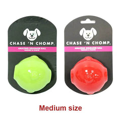 Durable Squeaker Dog Ball - SnaggIt