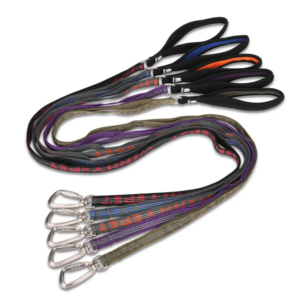 Heavy-Duty Reflective Dog Leash with Carabiner by Snagg A Leash