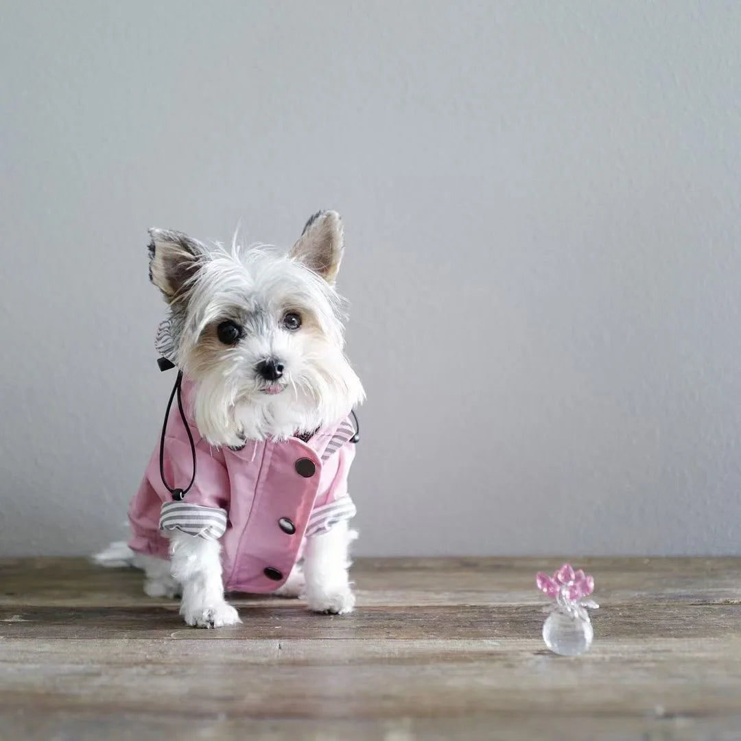 Waterproof Dog Raincoat with Hood by Snagg A Raincoat