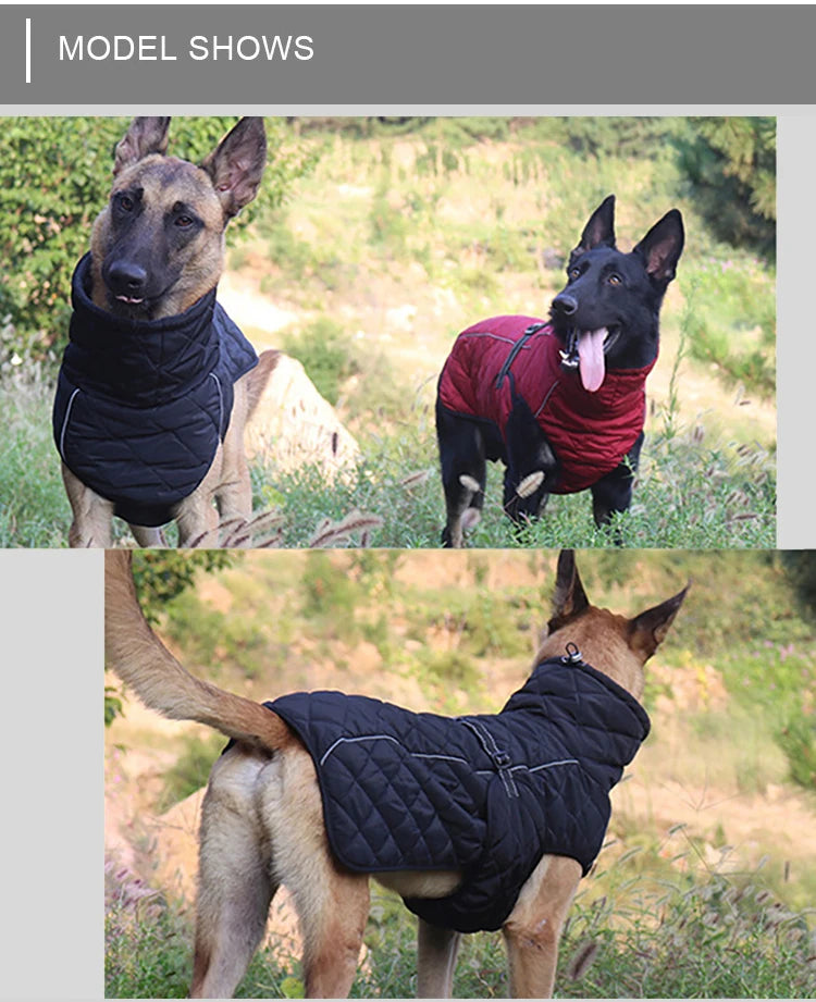 Waterproof Outdoor Dog Jacket by Snagg A Jacket