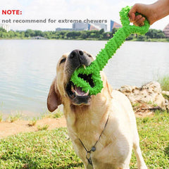 Durable Dog Chew Toy Bone with Convex Design - SnaggIt