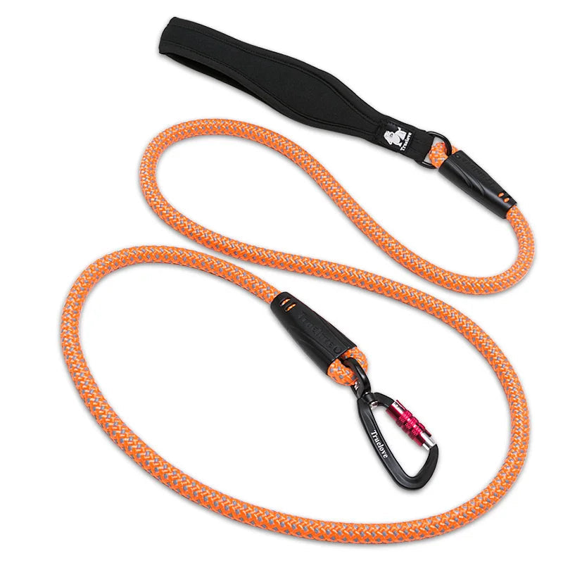 Reflective Nylon Dog Leash with Neoprene Handle & Alloy Hardware by Snagg A Leash