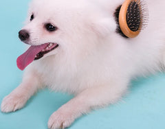 Double-Sided Bamboo Pet Brush by Snagg A Grooming Tool