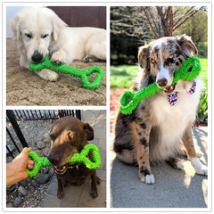 Durable Dog Chew Toy Bone with Convex Design - SnaggIt