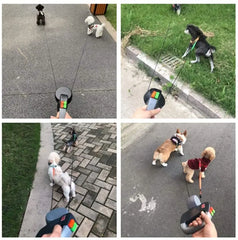 Double Dogs Extendable Retractable Leash by Snagg A Leash