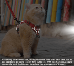 Cat Harness and Leash Set - SnaggIt