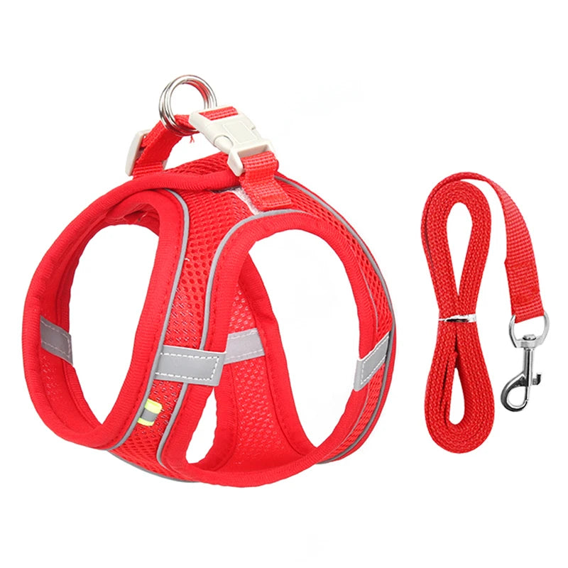 Escape Proof Cat Harness & Leash Set by Snagg A Harness