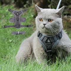 Reflective Cat & Dog Harness & Leash Set by Snagg A Harness