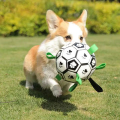 Interactive Dog Football Toy with Grab Tabs by Snagg A Toy