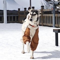 Winter Snow Guard 4 Legged Plush Dog Jacket