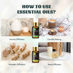 35 Bottle Master Essential Oil Library – 100% Pure Botanical Collection for Diffusion, Artisanal Crafting & Wellness