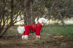 Adjustable Waterproof Dog Raincoat - SnaggIt