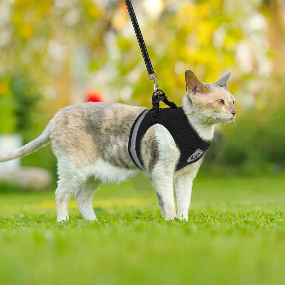 Breathable Escape-Proof Cat Harness & Leash Set - SnaggIt