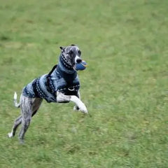 Winter Fleece Turtleneck Whippet Vest Soft Stretch Dog