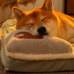 Orthopedic Dog Bed by Snagg A Pet Bed