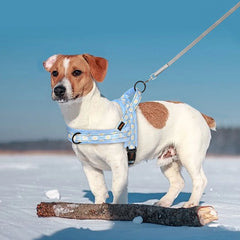 Floral Dog Harness – No Pull, Reflective & Warm by Snagg A Harness