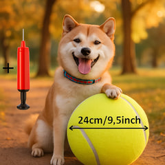 Giant Inflatable Tennis Ball for Dogs by Snagg A Toy