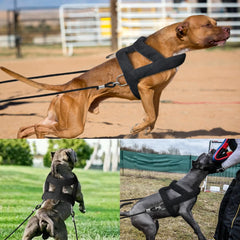 Adjustable Dog Weight Pulling Training Harness & Leash by Snagg A Harness