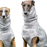 Warm Fleece Sleeveless Dog Vest - White / XS(old) - Raincoats & Apparel