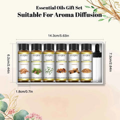 6 Piece Essential Oil Collection – 100% Pure Natural Aromatherapy Set for Diffusion & DIY Wellness