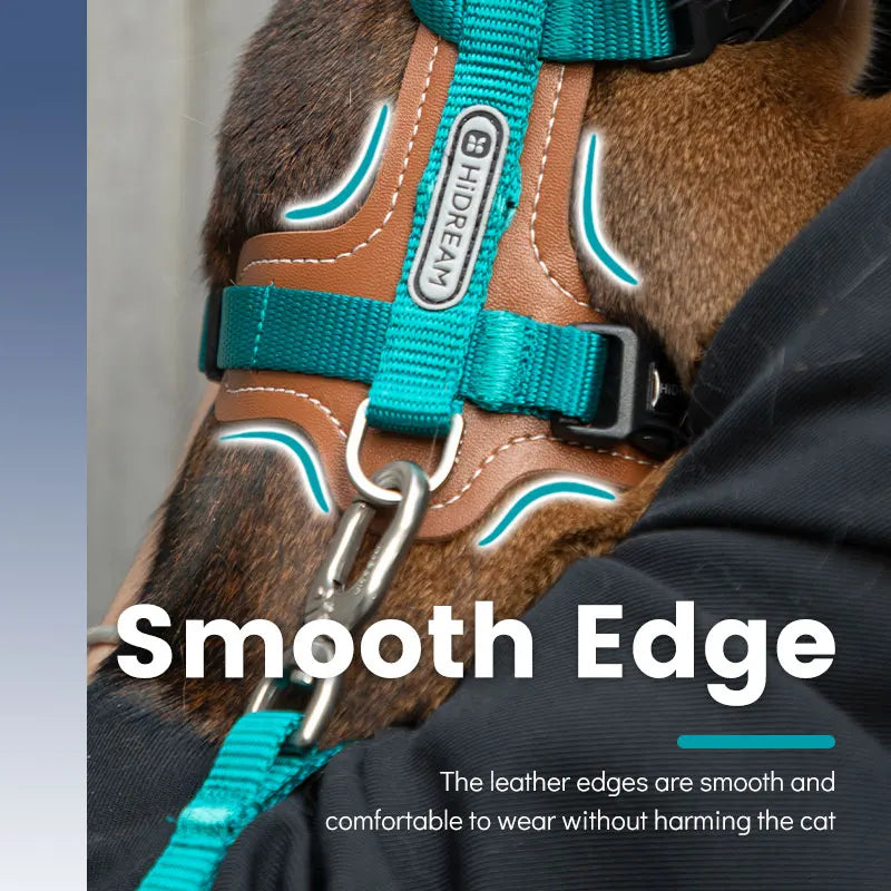 Travel Cat Harness & Leash Set by Snagg A Harness