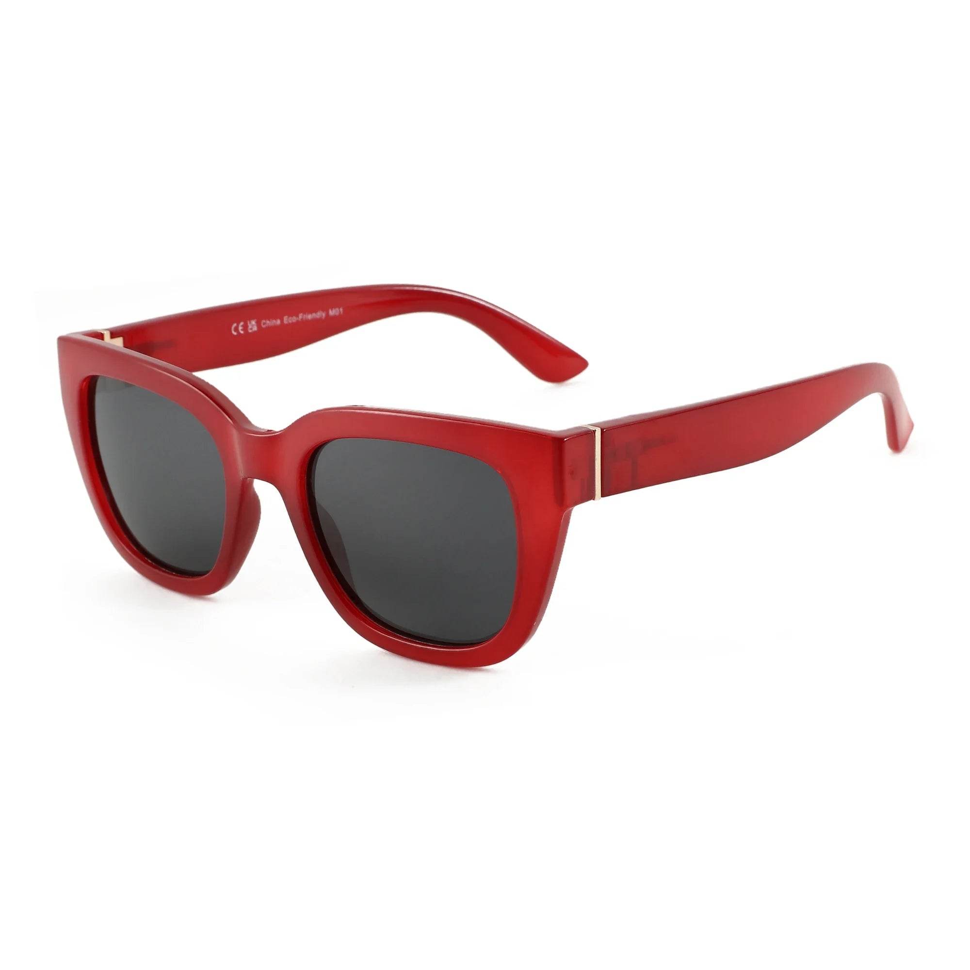 2025 Polarized Sunglasses - SnaggIt
